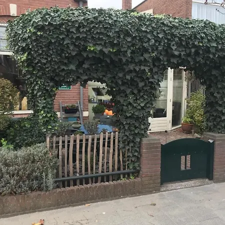 De Duinhoek Bed & Breakfast *